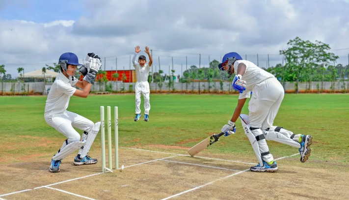 Cricket